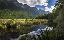 NZ image